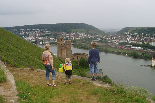 Burg Ehrenfels