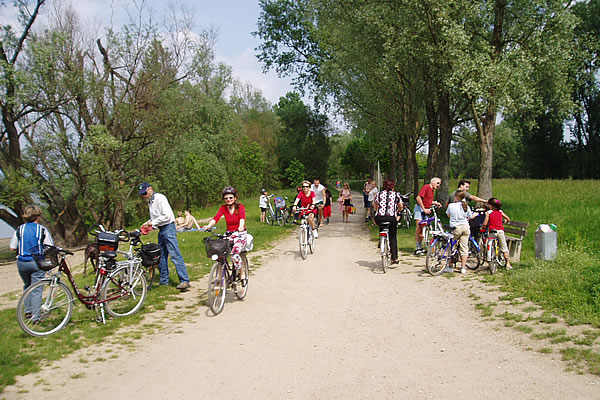 Radfahrer